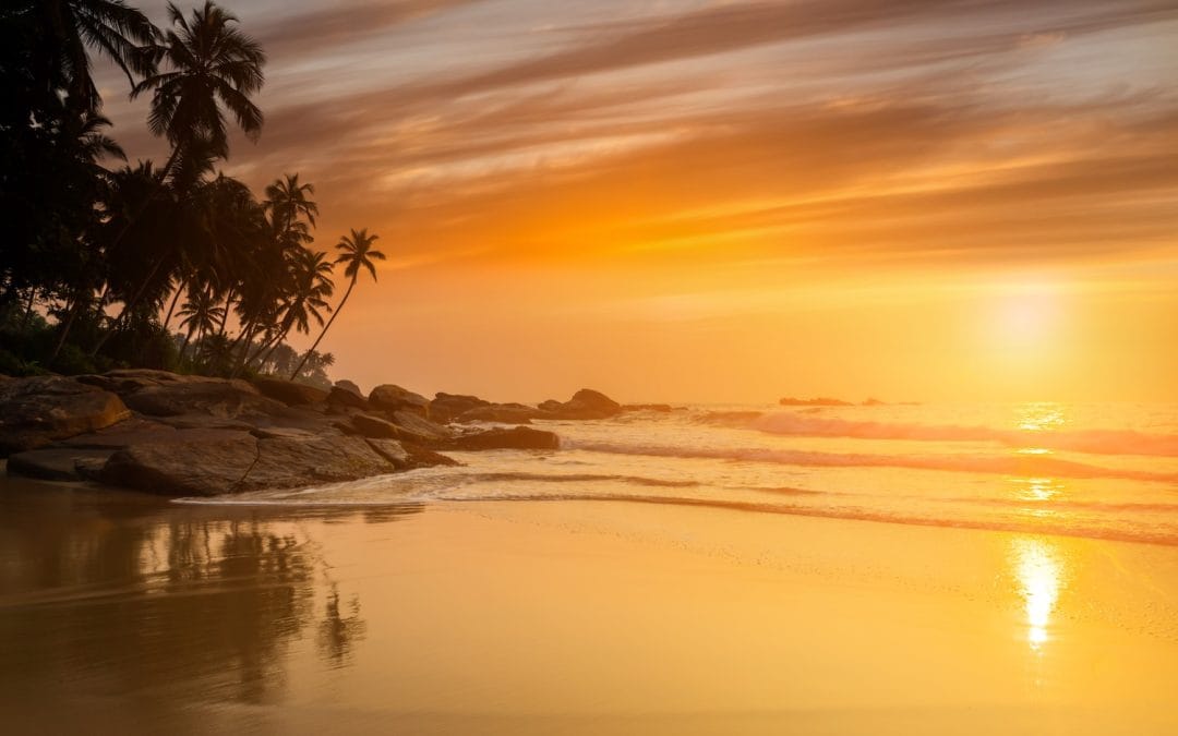 Blog post 1 about yoga